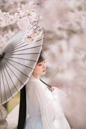 妻子的情人电影