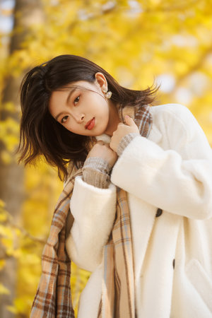 施公奇案电视剧