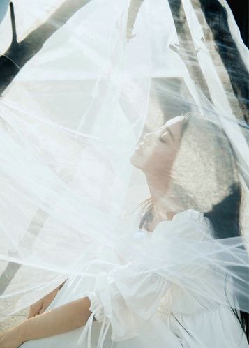 免费成人黄动漫